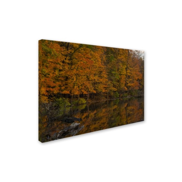 Kurt Shaffer 'Still Golden Reflections' Canvas Art,18x24